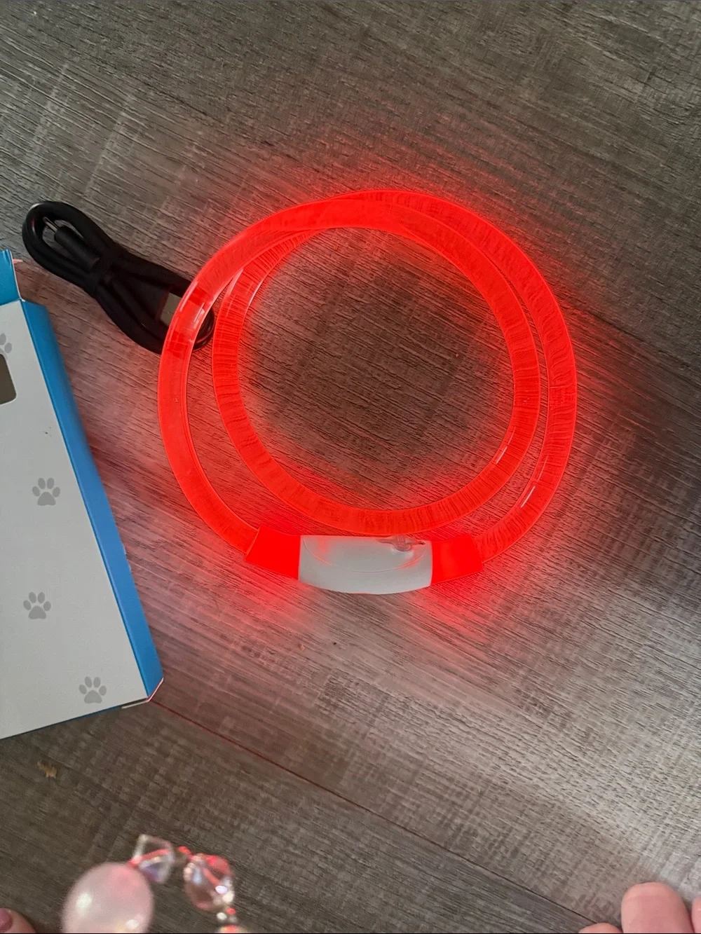 USB Rechargeable LED Dog Collar - White with Orange Accents